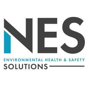 NES Logo with Tagline This was comfirmed as correct logo on 2-16-2023
